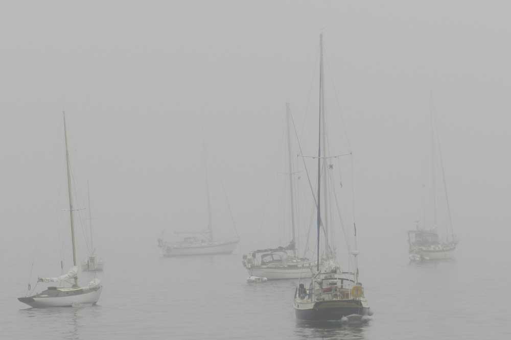 Sailing & Motoring in Fog